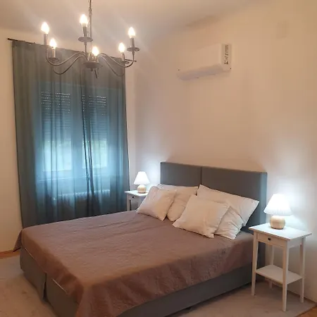 Bzs5 *